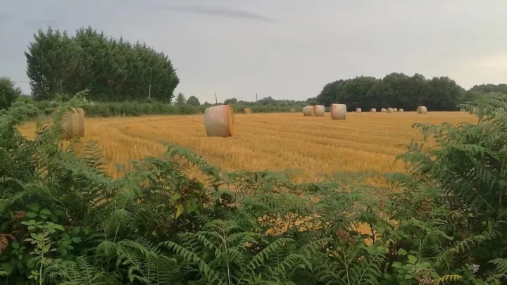 意昂2-科技赋能场景,让娱乐更有趣!