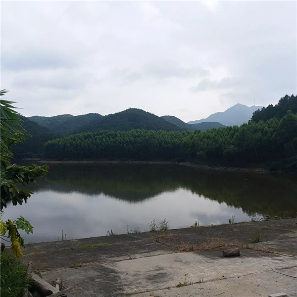 20191225104118509 意昂2-科技赋能场景,让娱乐更有趣!